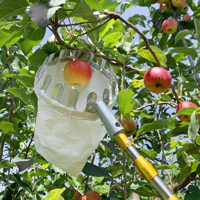Fruit Picking Extension Pole With Net Bag Head
