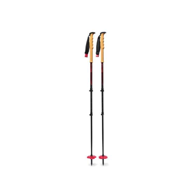3-Section Ski Poles