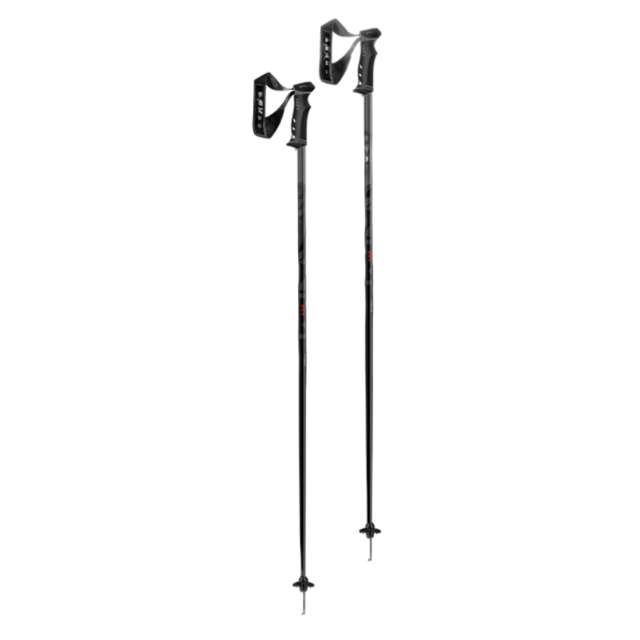 Fixed Length Ski Poles