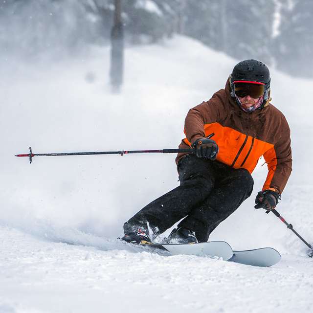 Freeride Ski Poles