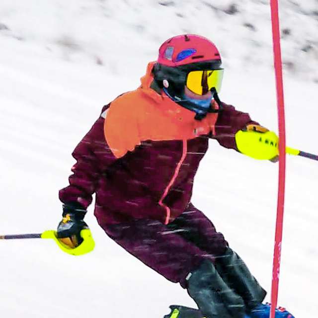 Racing Ski Poles
