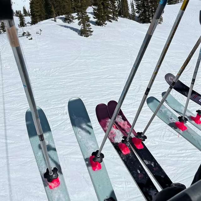 Rental Ski Poles