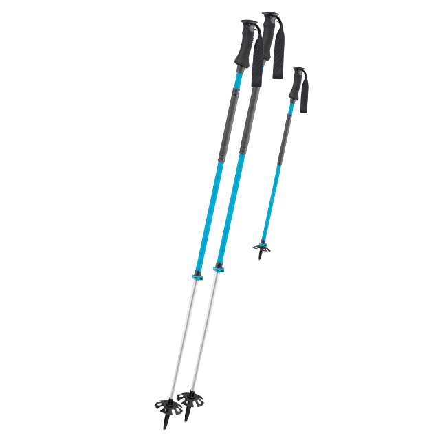 Telescopic Ski Poles