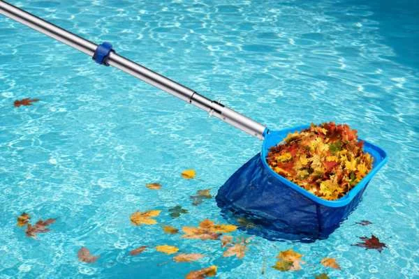 Outer Lock Pool Skimmer Pole