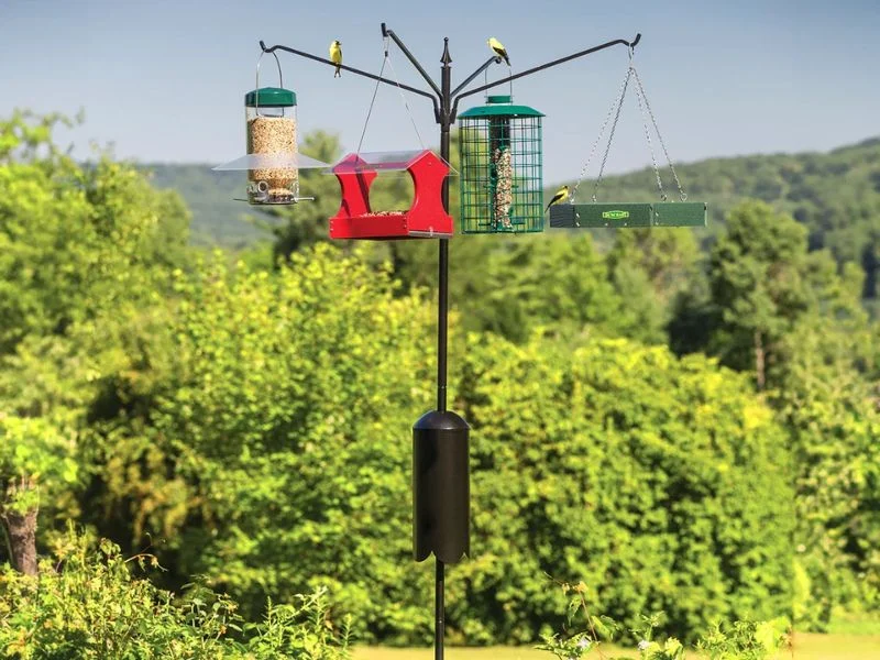 Diagram of the 5-7-9 rule distances around a bird feeder pole