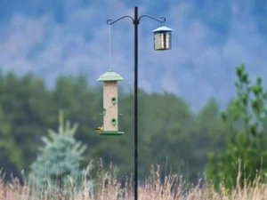 Multi-arm bird feeder pole with several feeders hanging in a backyard
