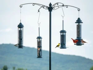 Aluminum bird feeder pole with multiple feeders and birds in a backyard