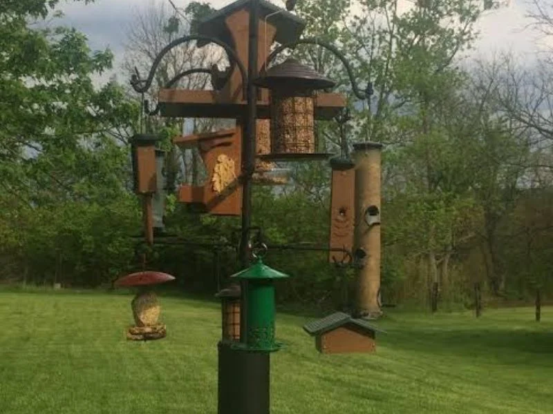 Boxed bird feeder pole system with arms, socket and hardware laid out