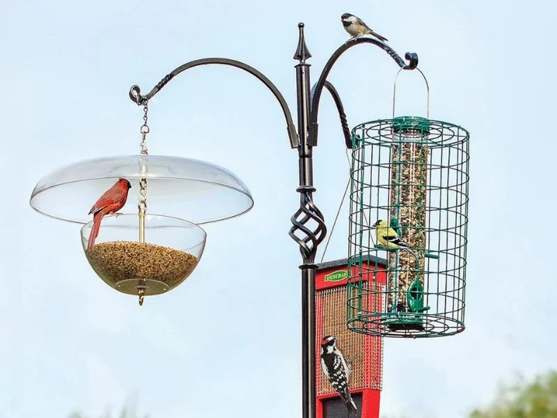 Heavy duty bird feeder pole carrying four loaded feeders