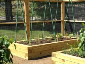 Estacas de aluminio anodizado verde para sostener plantas de tomate en un jardín.