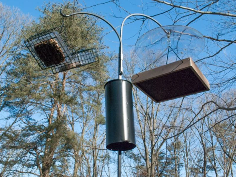 Squirrel stopped below a torpedo baffle on a feeder pole