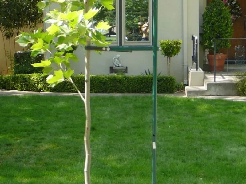 Geformte Bodenspitzen und Befestigungsclips für Aluminium-Baumpfähle