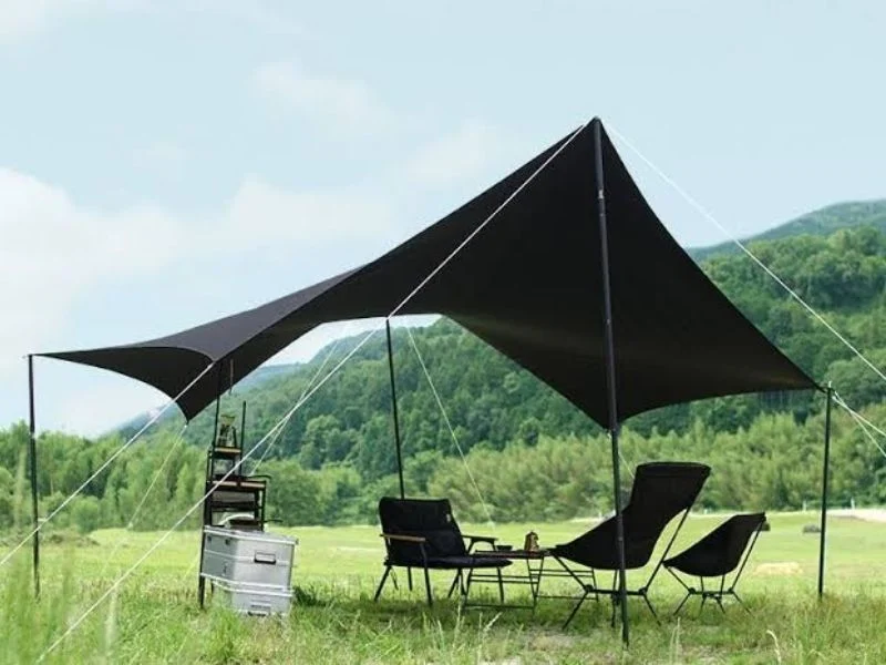 Vestibule tarp pole matched to a tent