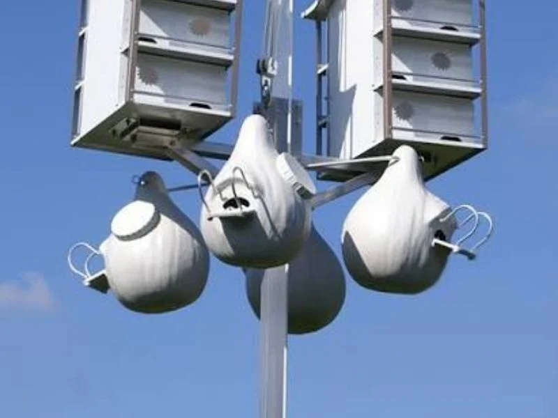 Purple martin house on a raise-and-lower aluminum mast