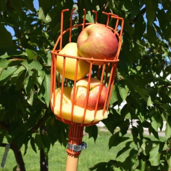 Fruit Picking Extension Pole With Fruit Basket Head