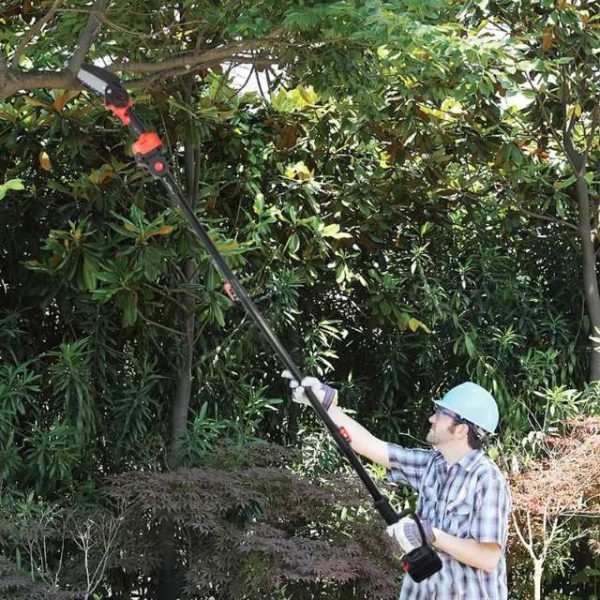 Telescoping Pole Saw for Landscaping
