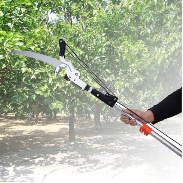 Telescoping Pole Saw for Orchard Pruning